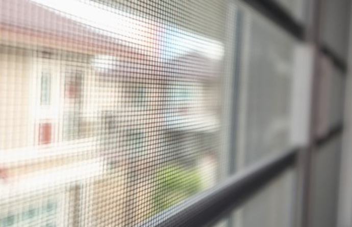 Komarnici luda koncept